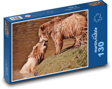 Medveď Hnedý - divoké zviera Puzzle 130 dielikov - 28,7 x 20 cm 