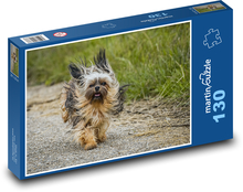 Animal - dog - Chihuahua Puzzle 130 pieces - 28.7 x 20 cm 