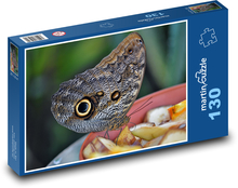 Motýl - hmyz, entomologie  Puzzle 130 dílků - 28,7 x 20 cm