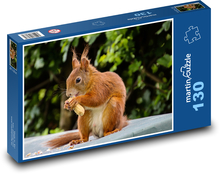 Zvíře, hlodavec - Veverka Puzzle 130 dílků - 28,7 x 20 cm