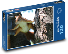 Veverička - zviera, hlodavec Puzzle 130 dielikov - 28,7 x 20 cm 