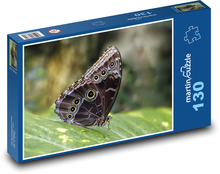Motýl - křídla, entomologie Puzzle 130 - 28,7x20 cm