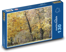 Podzimní les - stromy, park Puzzle 130 dílků - 28,7 x 20 cm