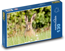 Zajíc v trávě - uši, zvíře Puzzle 130 dílků - 28,7 x 20 cm
