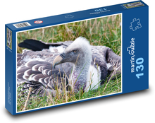 Sup veľký - vták, zviera Puzzle 130 dielikov - 28,7 x 20 cm 