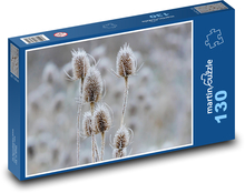 Karde - Pflanze, Winter Puzzle 130 Teile - 28,7x20 cm