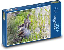 Kanadské husy - voda, jezero Puzzle 130 dílků - 28,7 x 20 cm