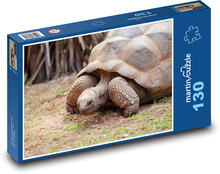 Obří želva - Seychely, plaz Puzzle 130 dílků - 28,7 x 20 cm