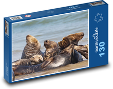 Tuleň obecný - zvířata, moře Puzzle 130 - 28,7x20 cm