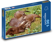 Spící vydry - zvířata, odpočívat Puzzle 130 dílků - 28,7 x 20 cm
