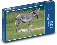 Zebra - mládě, Afrika Puzzle 130 dílků - 28,7 x 20 cm