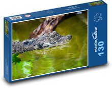 West African dwarf crocodile - animal, water Puzzle 130 pieces - 28.7 x 20 cm 