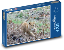 Lvíče - mladý lev, dravec Puzzle 130 dílků - 28,7 x 20 cm