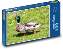 Kachna divoká - samec kachny, kačer Puzzle 130 dílků - 28,7 x 20 cm