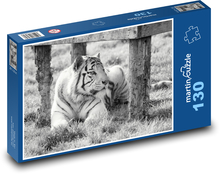 Bílý tygr - zajetí, zoo Puzzle 130 dílků - 28,7 x 20 cm