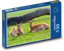 Jelen - zvíře, odpočívat Puzzle 130 dílků - 28,7 x 20 cm
