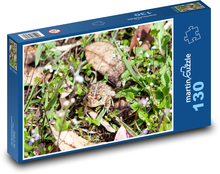 Žaba v tráve - obojživelník, ropucha Puzzle 130 dielikov - 28,7 x 20 cm 