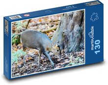 Muntjac - jeleń, ssak Puzzle 130 elementów - 28,7x20 cm