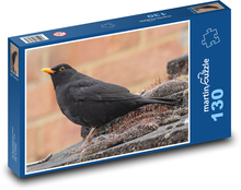 Kos - ptak, dziób pomarańczowy Puzzle 130 elementów - 28,7x20 cm