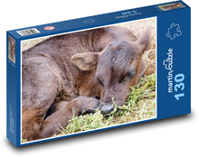 Tele - mladá kráva, zvíře Puzzle 130 dílků - 28,7 x 20 cm