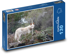 Dingo - pes, zvíře Puzzle 130 dílků - 28,7 x 20 cm
