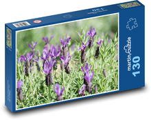 Levanduľa - kvety, jar Puzzle 130 dielikov - 28,7 x 20 cm 
