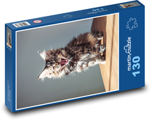 Kočka domácí - kotě, řev Puzzle 130 dílků - 28,7 x 20 cm