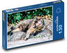 Motley cat - pet, rest Puzzle 130 pieces - 28.7 x 20 cm 