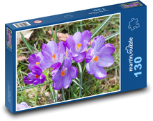 Krokus - kvetina, záhrada Puzzle 130 dielikov - 28,7 x 20 cm 