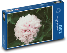 Růžová pivoňka - květ, zahrada Puzzle 130 dílků - 28,7 x 20 cm