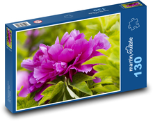 Pfingstrose - Pflanze, Blume Puzzle 130 Teile - 28,7x20 cm