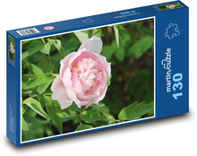 Růžová pivoňka - růžový květ, květina Puzzle 130 dílků - 28,7 x 20 cm