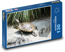 Korytnačka - vodný živočích, plaz Puzzle 130 dielikov - 28,7 x 20 cm 