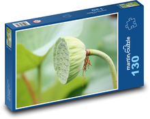 Lotos - vodná rastlina, semenný struk Puzzle 130 dielikov - 28,7 x 20 cm