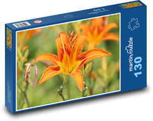 Oranžová denivka - pomarančový kvet, záhrada Puzzle 130 dielikov - 28,7 x 20 cm 