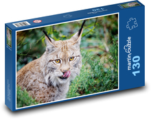 Ryś - zwierzę, kot Puzzle 130 elementów - 28,7x20 cm