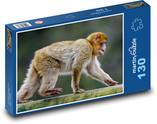 Barbarská opice - makak, zvíře Puzzle 130 dílků - 28,7 x 20 cm