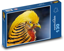 Zlatý bažant - pták, peří Puzzle 130 dílků - 28,7 x 20 cm