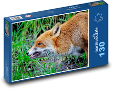Fox - wild animal, mammal Puzzle 130 pieces - 28.7 x 20 cm 