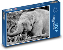 Slon indický - sloník, zviera Puzzle 130 dielikov - 28,7 x 20 cm 