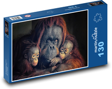 Orangutan - opice, opičky Puzzle 130 dílků - 28,7 x 20 cm