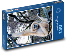 Gibon the White-Handed - monkey, primate Puzzle 130 pieces - 28.7 x 20 cm 