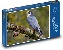 Sokol - dravec, pták Puzzle 130 - 28,7x20 cm