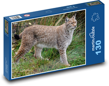 Rys ostrovit - Bestie, Raubtier Puzzle 130 Teile - 28,7x20 cm