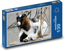 African dwarf goat - animal, farm Puzzle 130 pieces - 28.7 x 20 cm 
