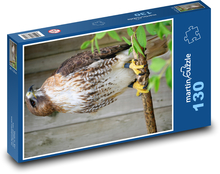 Jestřáb - dravý pták, zvíře Puzzle 130 dílků - 28,7 x 20 cm