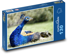 Páv - vták, perie Puzzle 130 dielikov - 28,7 x 20 cm 