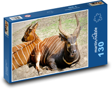 Bongo-Antilope - gestreiftes Tier, Zoo Puzzle 130 Teile - 28,7x20 cm