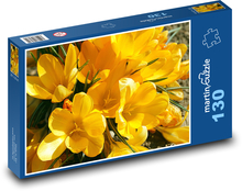 Yellow crocuses - spring flowers, garden Puzzle 130 pieces - 28.7 x 20 cm 
