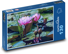 Water lilies - pond, flowers Puzzle 130 pieces - 28.7 x 20 cm 